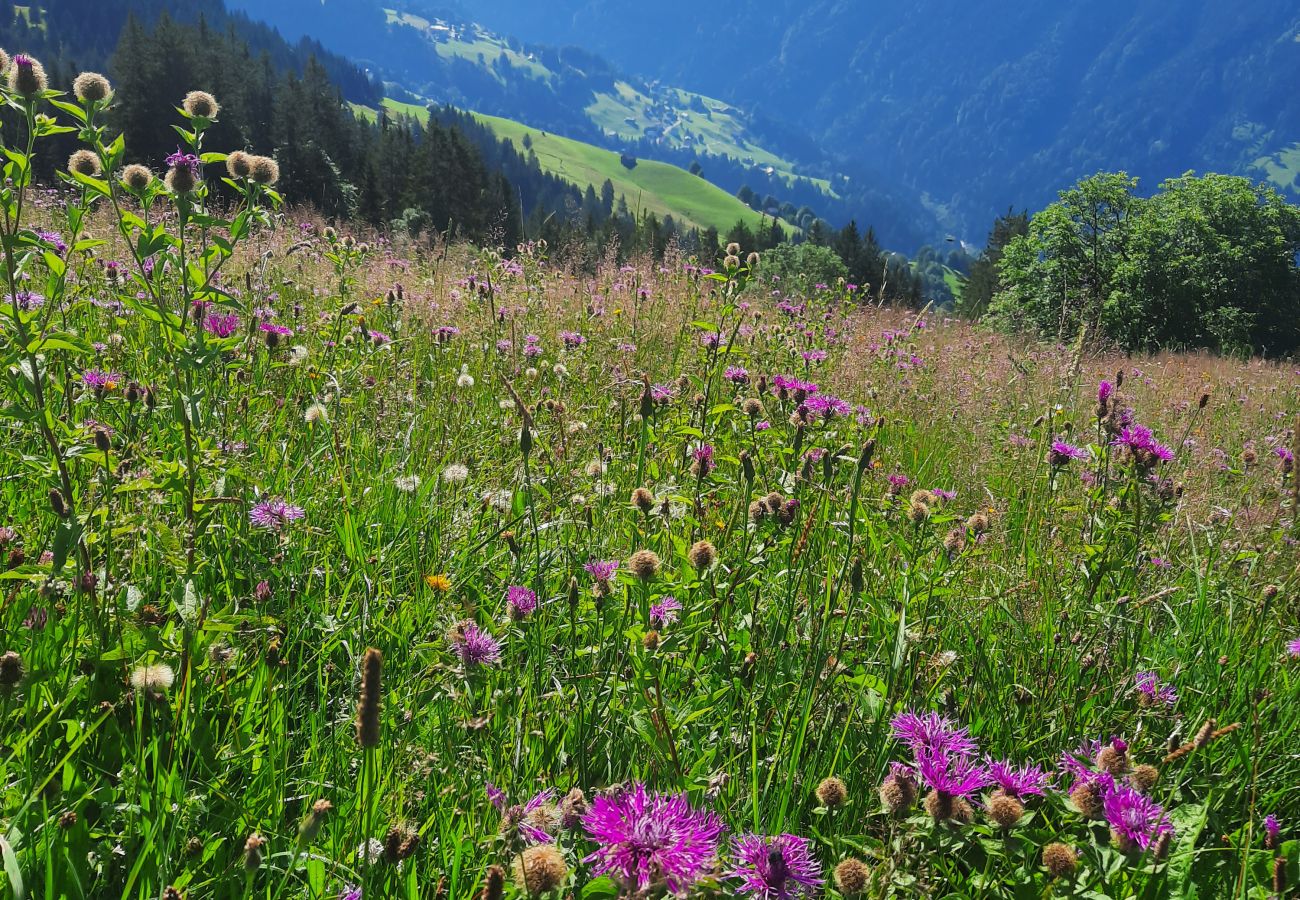 Ferienwohnung in Damüls - Alpenstolz #1.01 Komfort