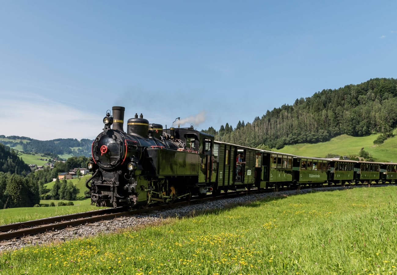 Ferienwohnung in Damüls - Alpenstolz #1.03 Komfort