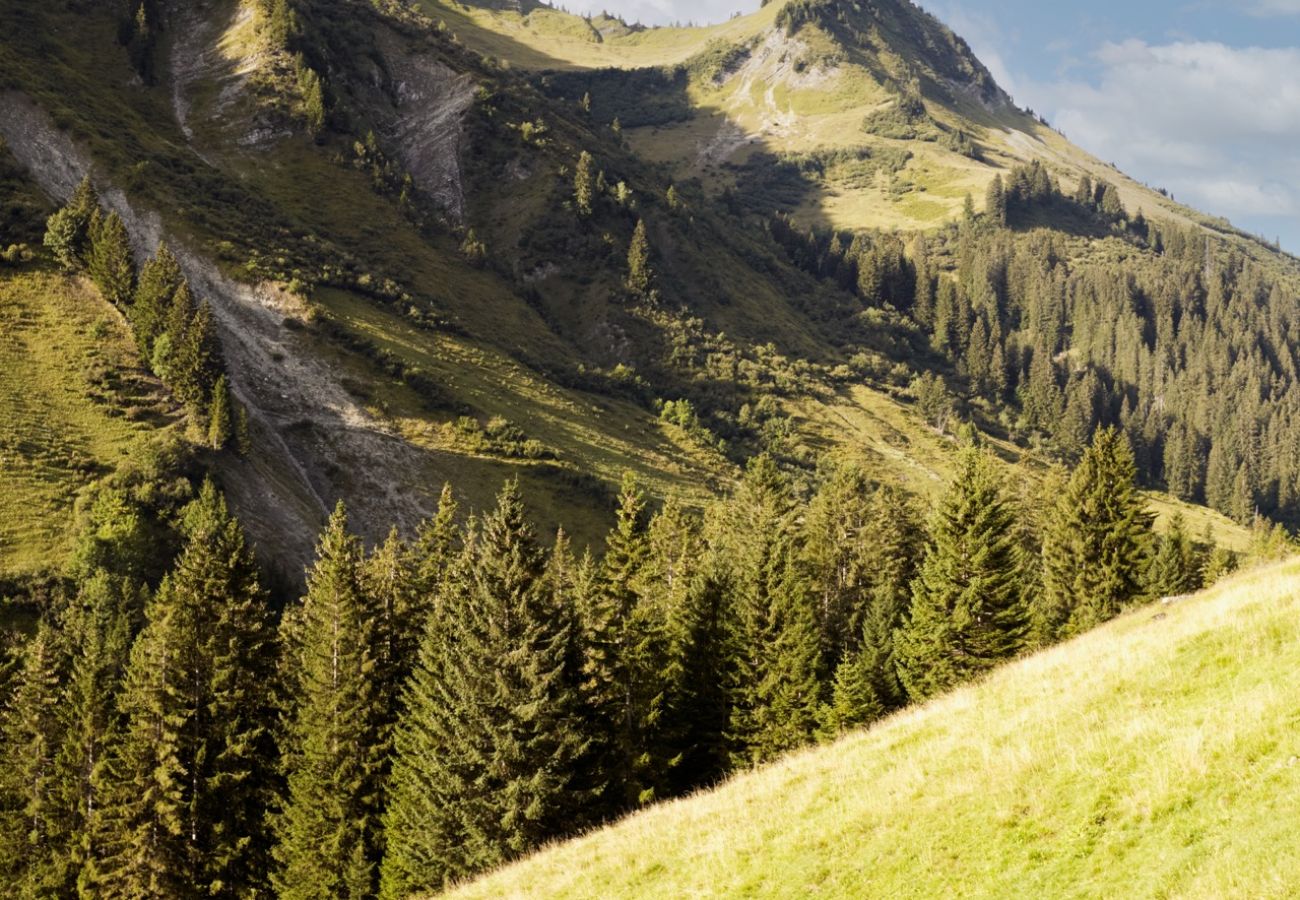 Ferienwohnung in Damüls - Alpenstolz #4.04 Alpin mit Coolfire