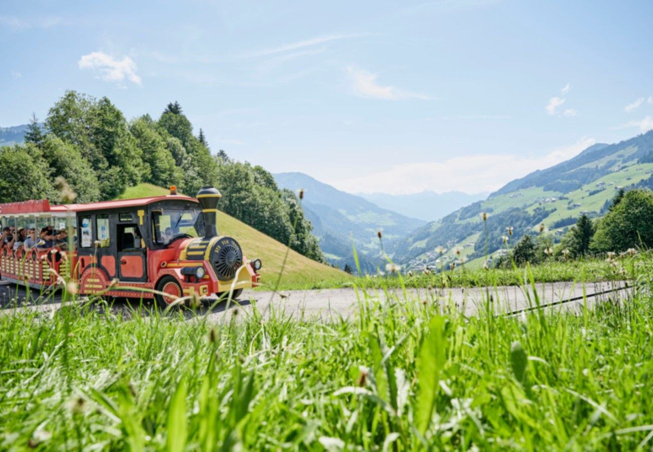 Ferienwohnung in Damüls - Landhaus Damüls - Bergblick #04
