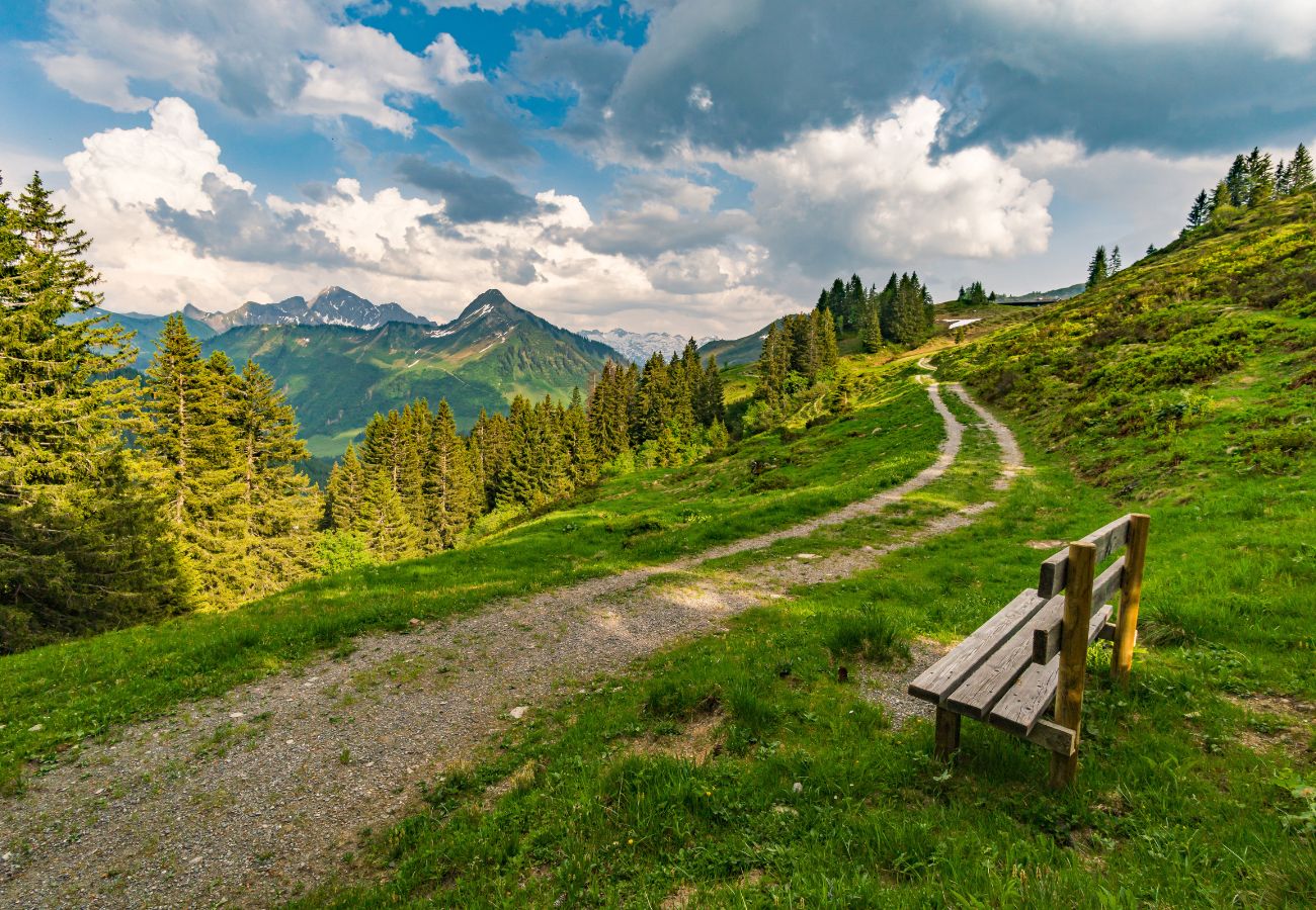 Ferienwohnung in Damüls - Landhaus Damüls - Bergblick #08