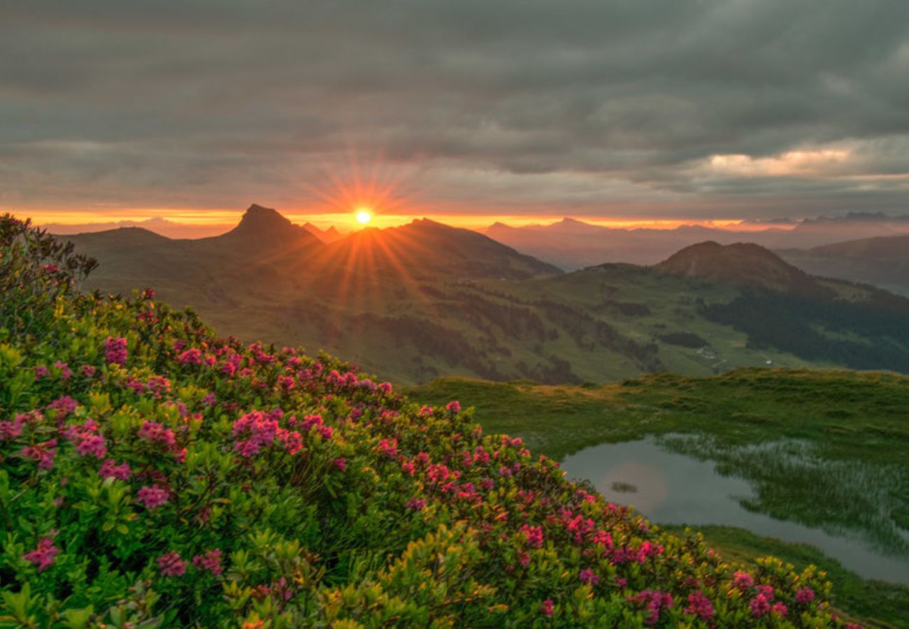 Ferienwohnung in Damüls - Hölderle Damüls - Bergblick #12