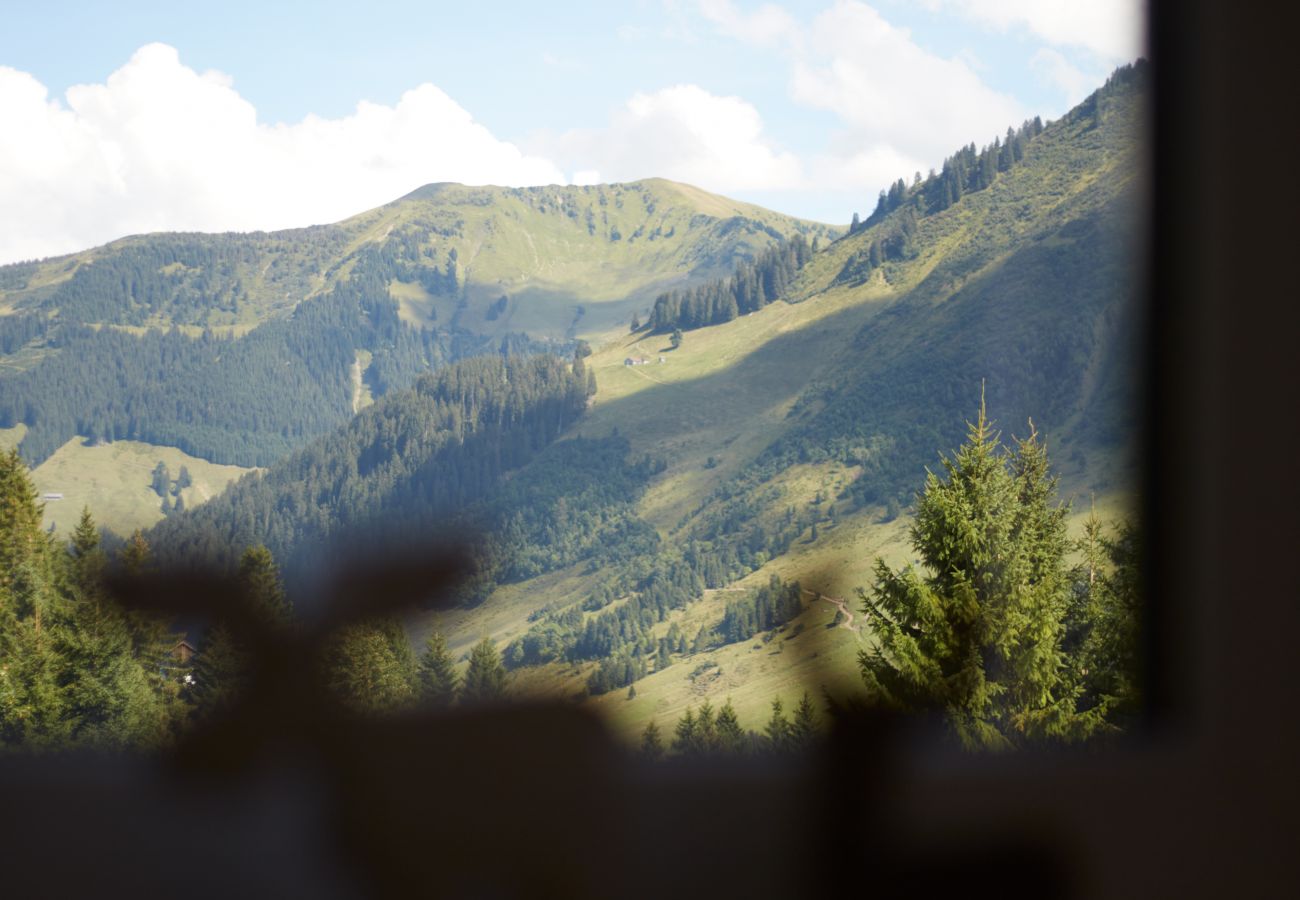 Ferienwohnung in Damüls - Hölderle Damüls - Bergblick #11