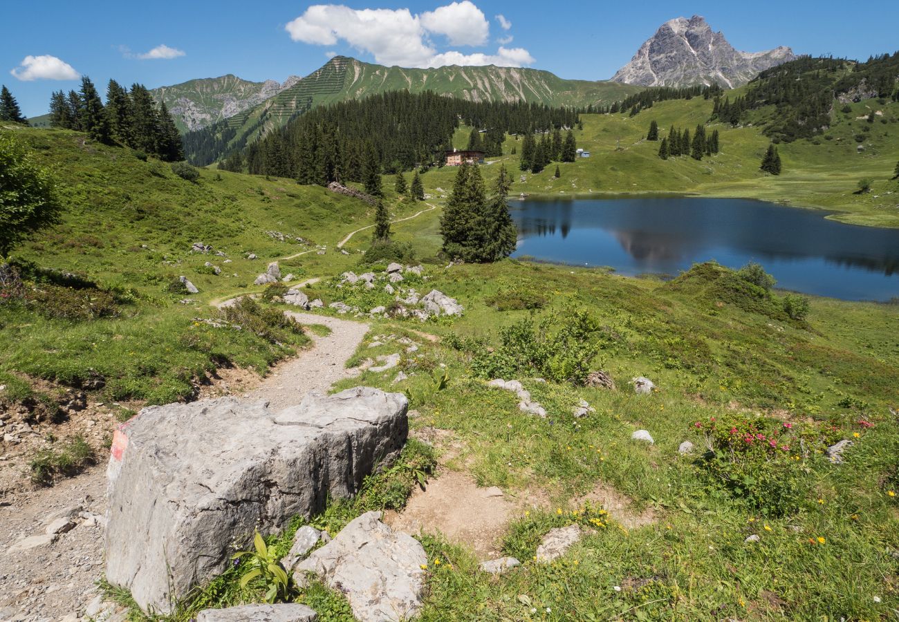 Ferienwohnung in Damüls - Hölderle Damüls - Bergblick #10 